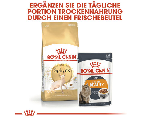 Royal Canin adult cat food for Sphynx cats and Royal Canin wet cat food for coat and skin health