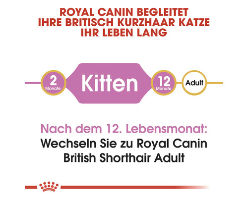 Royal Canin begleitet Ihre Britisch Kurzhaar Katze ihr Leben lang: Futter für Kitten von 2 bis 12 Monate, danach Futter für adulte Katzen.