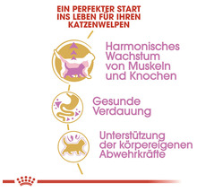 Vorteile von Katzenfutter: Harmonisches Wachstum, gesunde Verdauung, Unterstützung der Abwehrkräfte