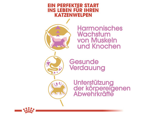 Vorteile von Katzenfutter: Harmonisches Wachstum, gesunde Verdauung, Unterstützung der Abwehrkräfte