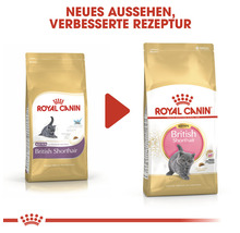 Zwei Packungen Royal Canin British Shorthair Kitten Trockenfutter mit verbesserter Rezeptur