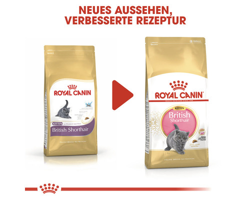 Zwei Packungen Royal Canin British Shorthair Kitten Trockenfutter mit verbesserter Rezeptur