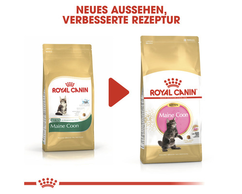 Royal Canin Maine Coon Katzenfutter für Kätzchen, neue Rezeptur