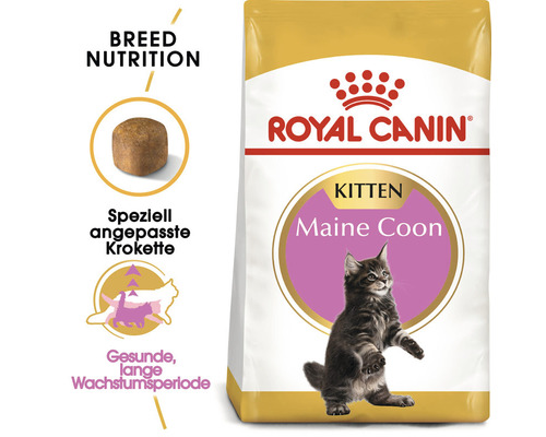 Royal Canin Katzenfutter für Maine Coon Kitten
