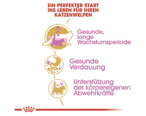 Darstellung der Vorteile des Produkts für Katzenwelpen: gesunde, lange Wachstumsperiode, gesunde Verdauung, Unterstützung der körpereigenen Abwehrkräfte.