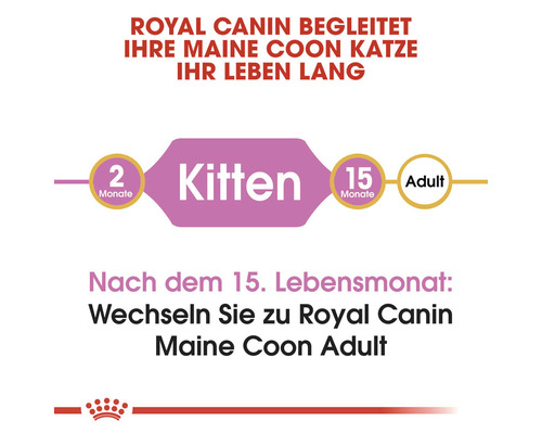 Royal Canin begleitet Ihre Maine Coon Katze ihr Leben lang. Vom Kitten zum Adult Futter.