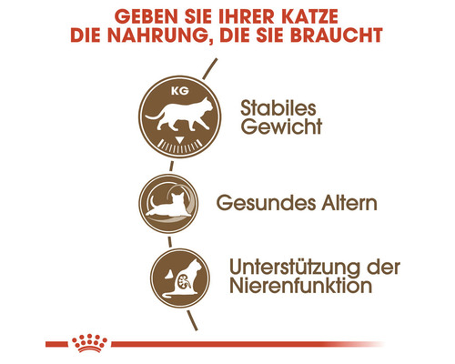 Katzenfutter Vorteile: Stabiles Gewicht, gesundes Altern, Unterstützung der Nierenfunktion