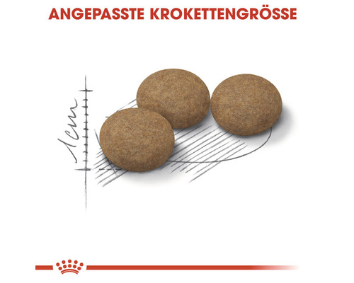 Drei Hundefutterkroketten mit Größenangabe