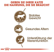Katzenfutter Vorteile: stabiles Gewicht, gesundes Altern, Unterstützung der Nierenfunktion