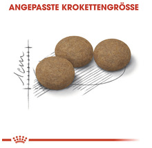 Abbildung von drei Kroketten mit angepasster Größe für Tiernahrung.