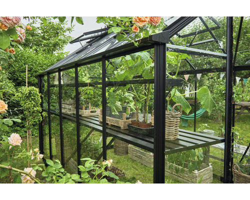 Gewächshaus mit Pflanzen und Regalen in einem Garten.