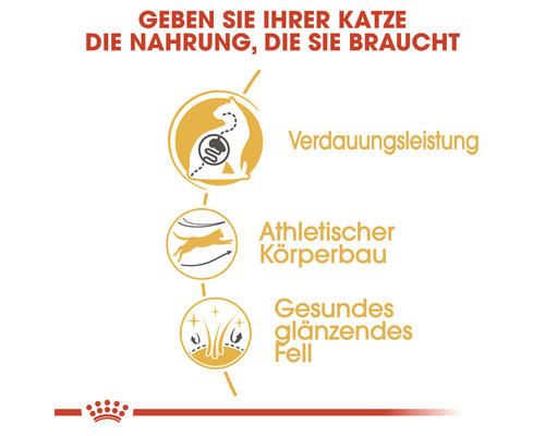 Grafische Darstellung zur Unterstützung der Verdauung, des athletischen Körperbaus und eines gesunden Fells bei Katzen