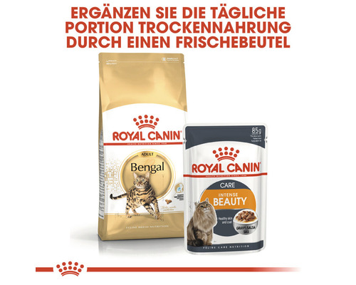 Royal Canin Bengal adult cat food and Royal Canin Intense Beauty cat food pouch