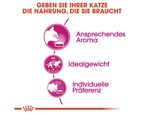 Katzenfutter Vorteile: ansprechendes Aroma, ideales Gewicht, individuelle Präferenz