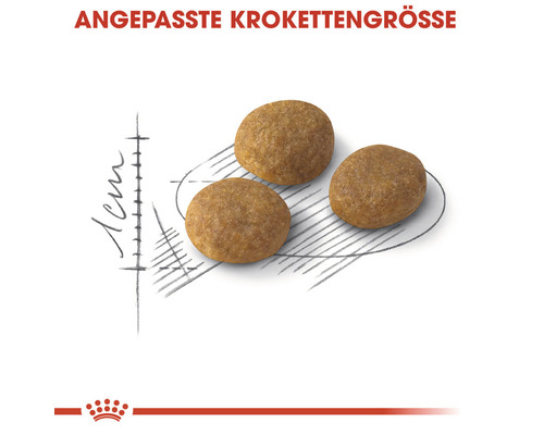 Drei Hundefutterkroketten