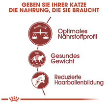 Katzenfutter Vorteile: optimales Nährstoffprofil, gesundes Gewicht, reduzierte Haarballenbildung
