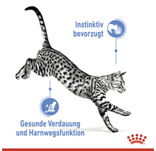 Grafik einer springenden Katze mit Hinweisen zu instinktiver Vorliebe sowie gesunder Verdauung und Harnwegsfunktion