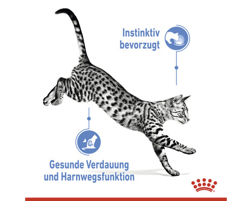 Grafik einer springenden Katze mit Hinweisen zu instinktiver Vorliebe sowie gesunder Verdauung und Harnwegsfunktion
