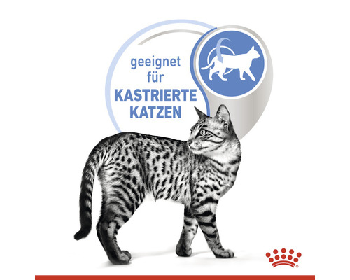 Geeignet für kastrierte Katzen Symbol
