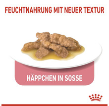 Katzenfutter Häppchen in Soße auf einem Teller
