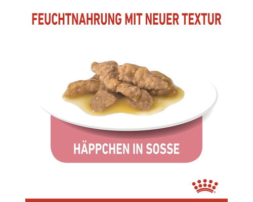 Katzenfutter Häppchen in Soße auf einem Teller