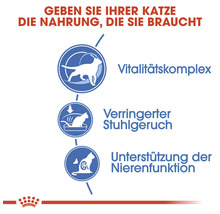 Grafische Darstellung der Vorteile von Katzenfutter: Vitalitätskomplex, reduzierter Stuhlgeruch, Unterstützung der Nierenfunktion