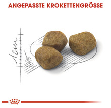 Angepasste Krokettengröße für Tierfutter