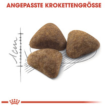 Drei Hundefutterkroketten mit angepasster Größe