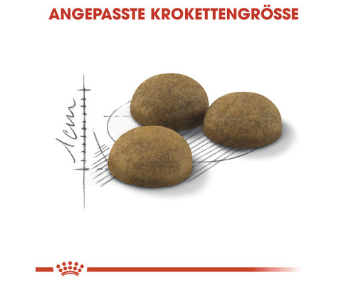 Drei Hundefutter-Kroketten mit Größenangabe