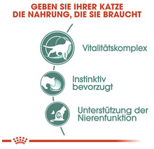 Katzenfutter mit Vitalitätskomplex, instinktiver Akzeptanz und Unterstützung der Nierenfunktion