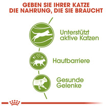 Information about cat food benefits: supports active cats, skin barrier, healthy joints