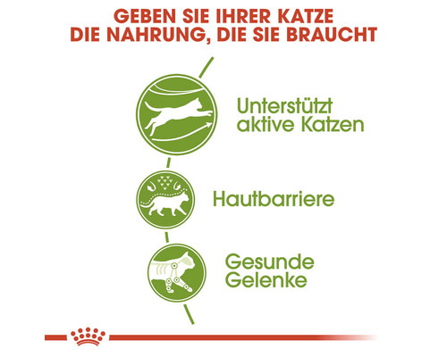 Information about cat food benefits: supports active cats, skin barrier, healthy joints