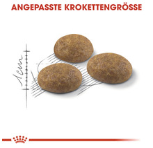 Drei Futterkroketten mit angepasster Kroketten Größe