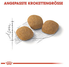 Katzenfutter trocken ROYAL CANIN Exigent Protein 2 kg