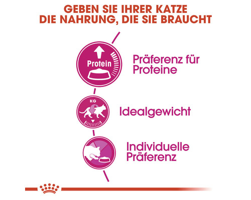 Katzenfutter Vorteile: Proteinvorzug, Idealgewicht, Individuelle Präferenz