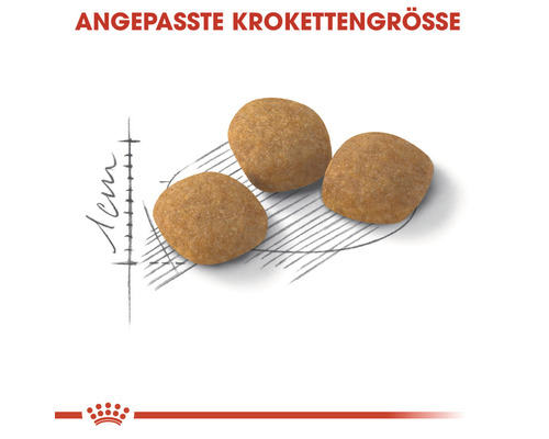 Drei Trockenfutter-Kroketten mit angepasster Grösse
