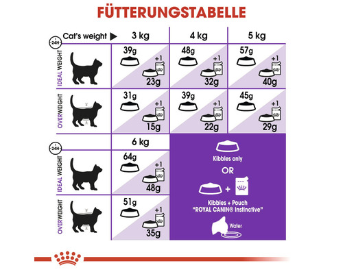 Fütterungstabelle für Katzen nach Gewicht und Zustand