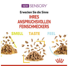 Katzenfutter zur Anregung der Sinne von anspruchsvollen Katzen.