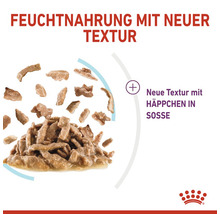 Feuchtnahrung mit Stücken in Soße