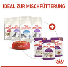 Royal Canin Katzennahrung Set mit Trocken- und Feuchtfutter sowie Futternapf