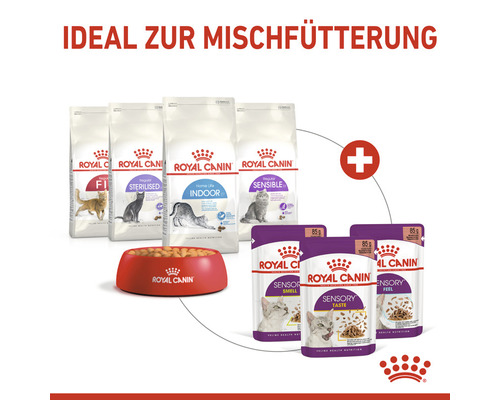 Royal Canin Katzentrockenfutter und Feuchtfutter mit Futternapf