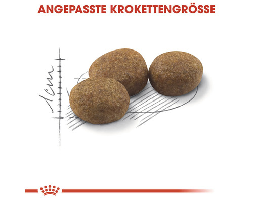 Drei Futterkroketten für Haustiere mit Größenangabe