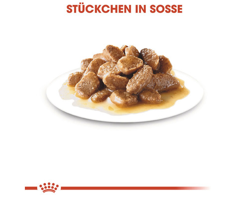 Stückchen in Soße auf einem Teller