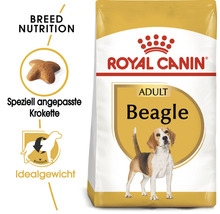 Hundefutter trocken, ROYAL CANIN Beagle Adult 3 kg