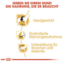 Hundefutter trocken, ROYAL CANIN Beagle Adult 3 kg