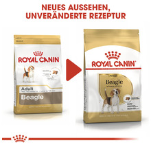 Hundefutter trocken, ROYAL CANIN Beagle Adult 3 kg