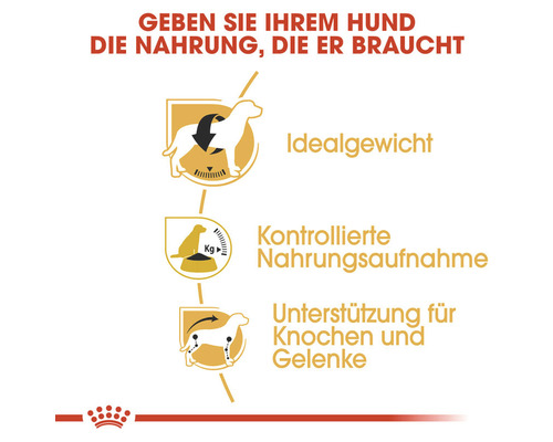 Informationen zu den Vorteilen von Hundefutter für Idealgewicht, kontrollierte Nahrungsaufnahme sowie Unterstützung für Knochen und Gelenke.