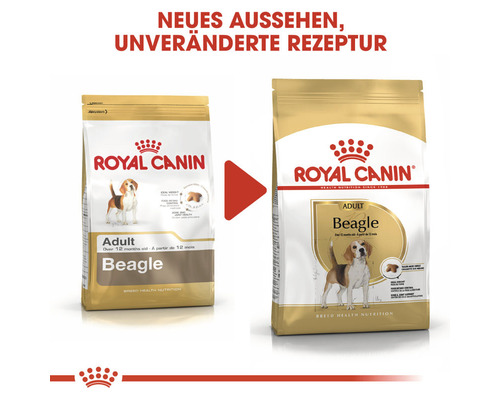 Zwei Packungen Royal Canin Beagle Adult Hundefutter mit neuem Aussehen aber unveränderter Rezeptur.