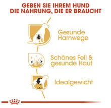 Vorteile von Royal Canin Hundefutter: gesunde Harnwege, schönes Fell und gesunde Haut, Idealgewicht