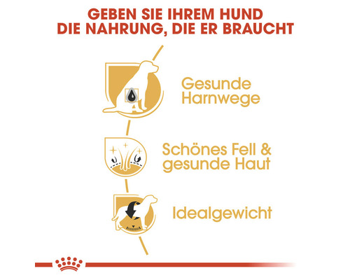 Vorteile des Hundefutters für gesunde Harnwege, schönes Fell und ideales Gewicht